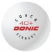 Мячи для настольного тенниса Donic Coach 40+ 120 шт.